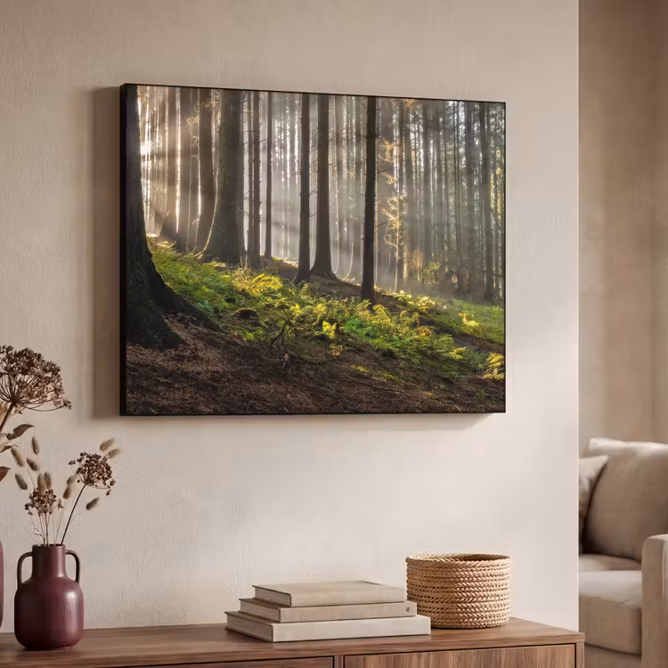 Art Frame - Zon - Takken - Bomen - Bos - Natuur — 7