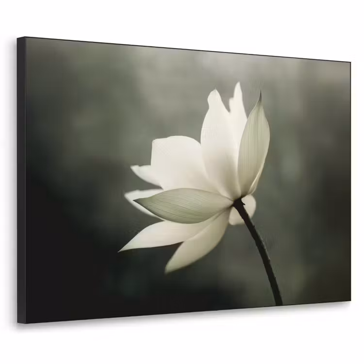 Art Frame - Wit - Lotus - Donker - Bloem — 1