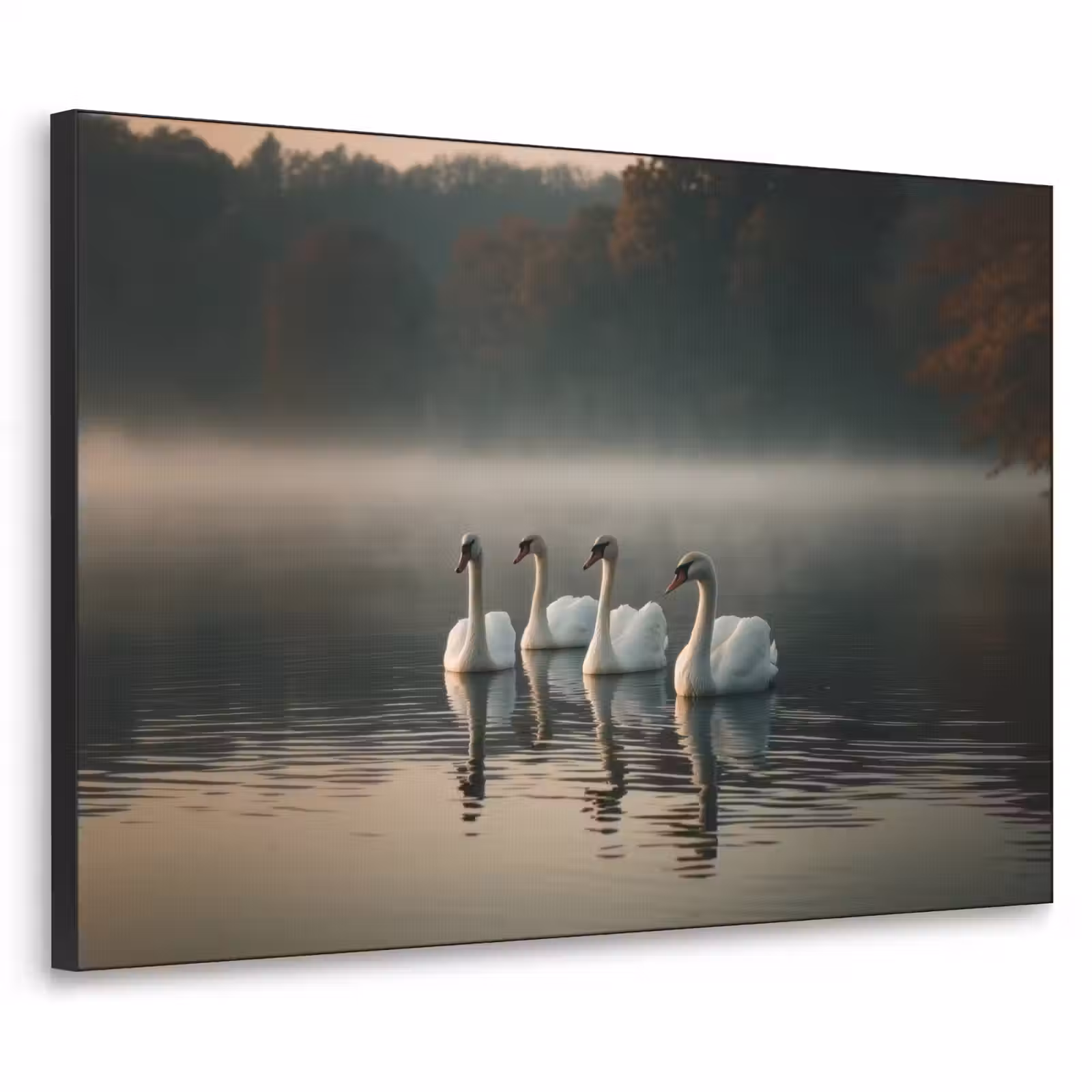 Art Frame - Zwanen - Wit - Water - Mist — 1
