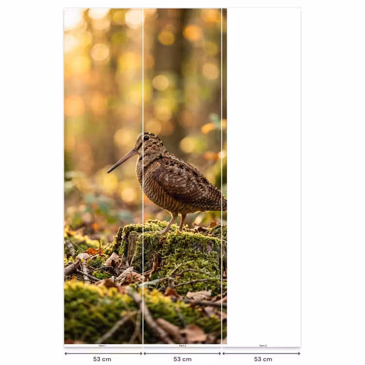 Behang - Houtsnip - Bos - Bladeren - Herfst - Gecamoufleerd — 6