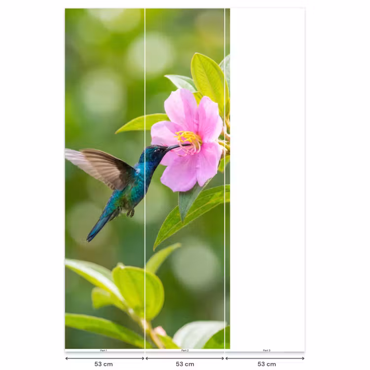 Behang - Kolibrie - Bloem - Natuur - Groen — 6