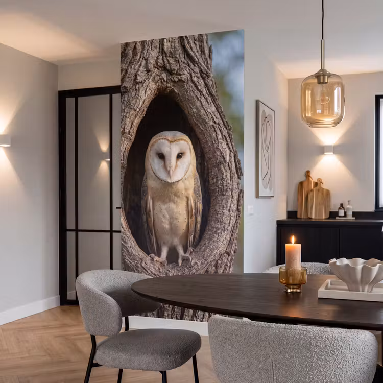 Behang - Kerkuil - Boom - Natuur - Bruin — 5