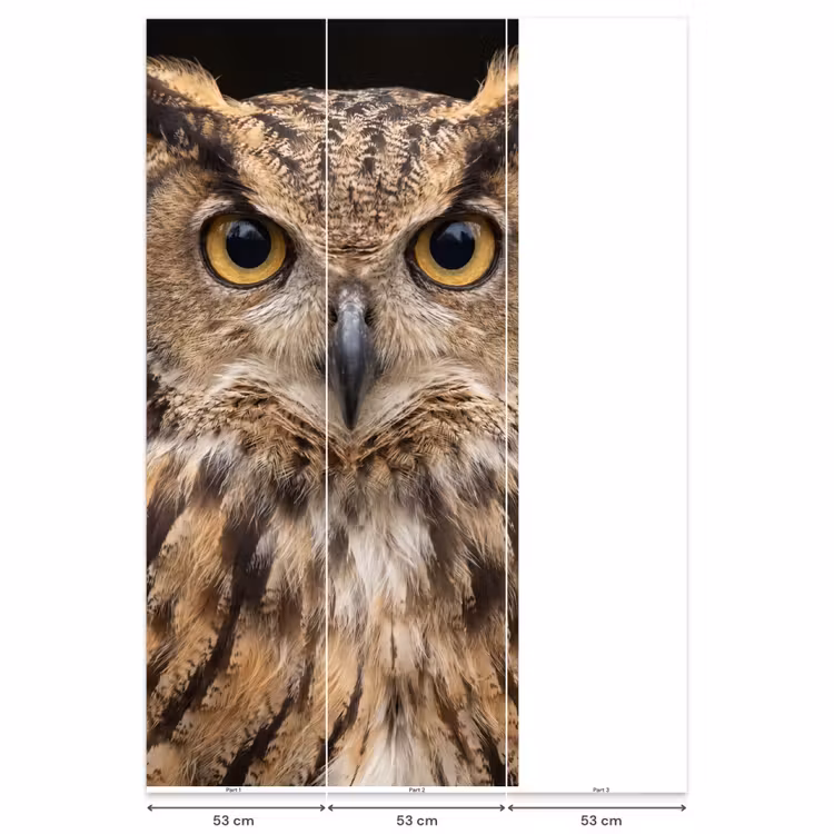Behang - Oehoe - Uil - Portret - Bruin — 6