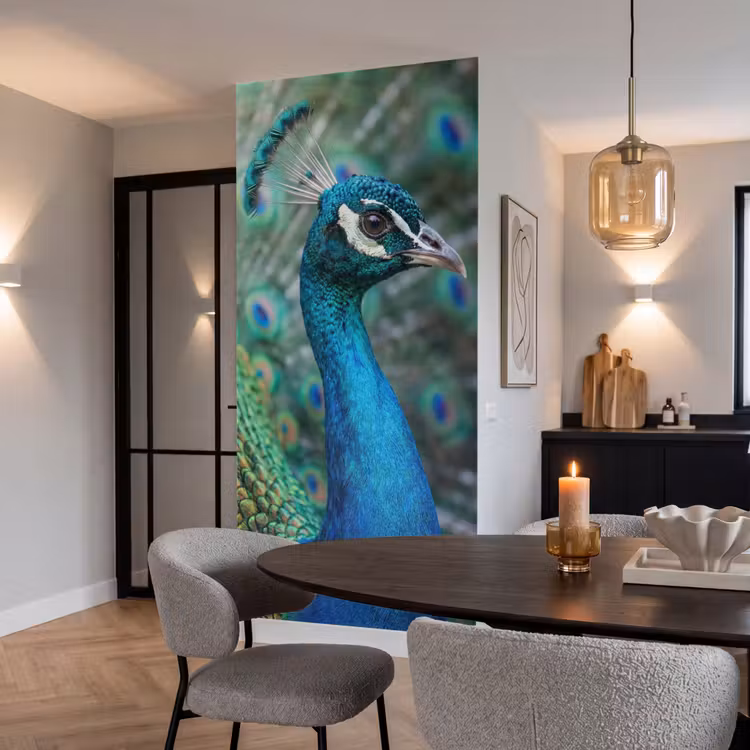 Behang - Pauw - Veren - Blauw — 5