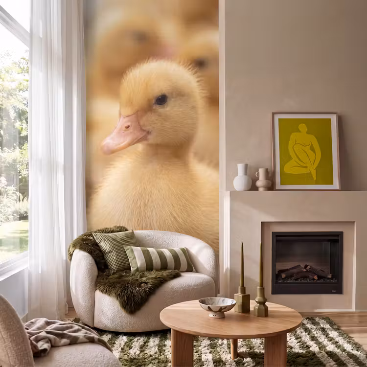Behang - Pijltje - Eend - Natuur - Geel — 1