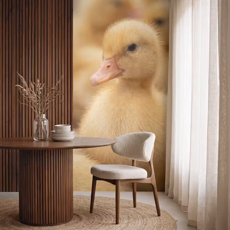 Behang - Pijltje - Eend - Natuur - Geel — 4