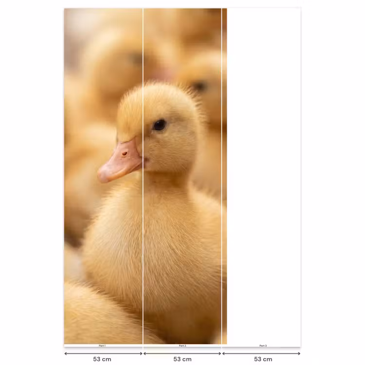 Behang - Pijltje - Eend - Natuur - Geel — 6