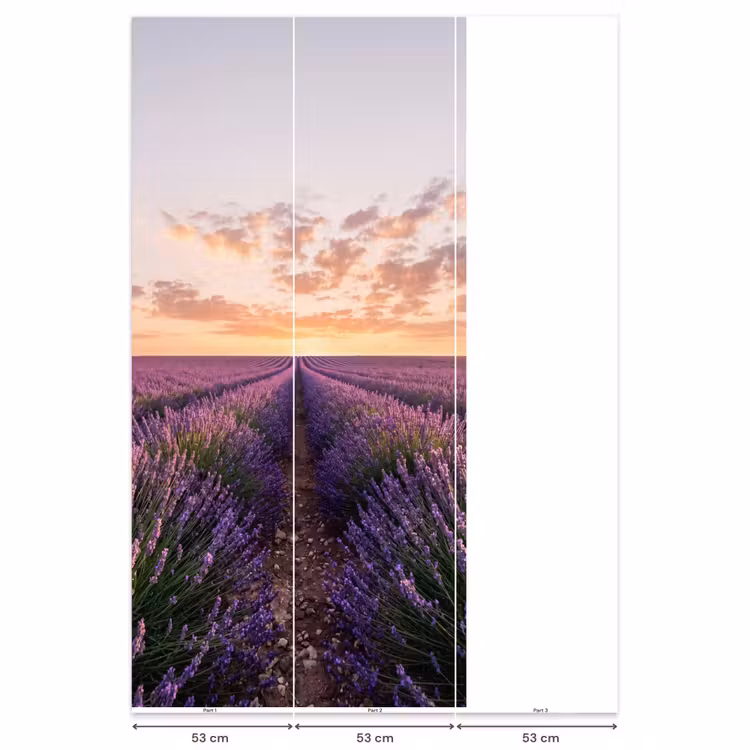 Behang - Landschap - Lavendelveld - Paars — 6