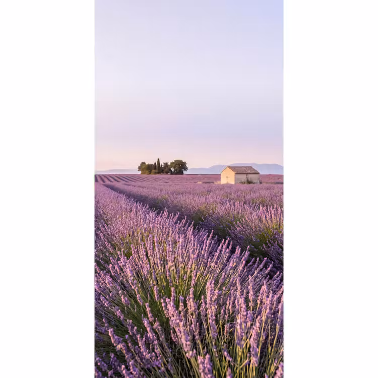 Behang - Lavendel - Landschap - Sereen - Paars — 2