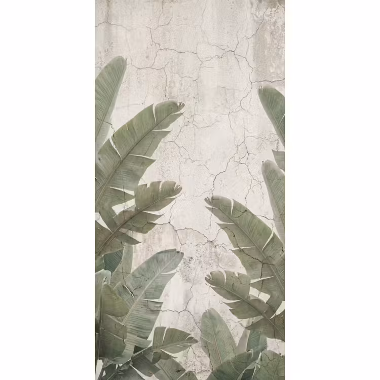 Behang - Bananenbladeren - Beton - Groen — 2