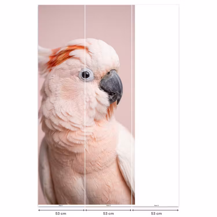 Behang - Kaketoe - Portret - Roze — 6