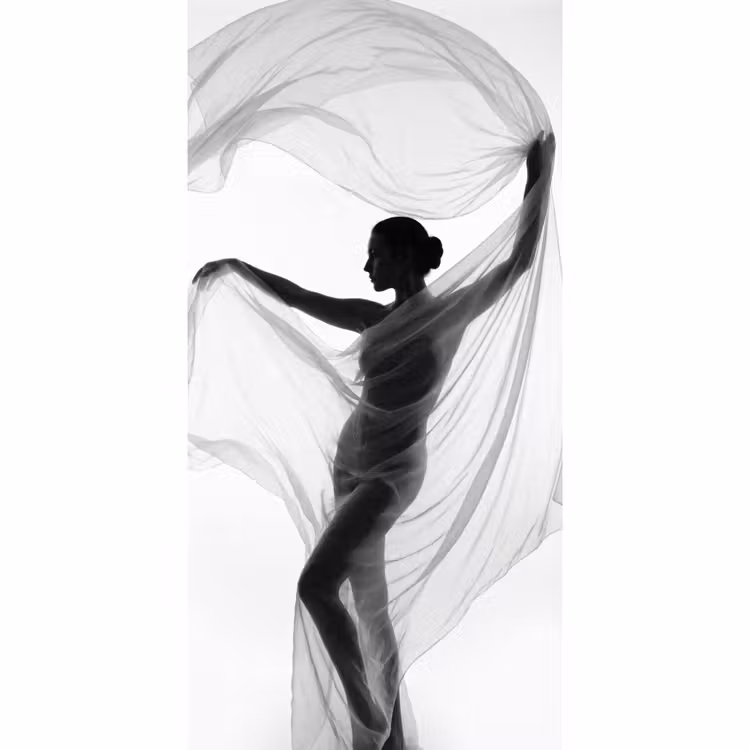 Behang - Silhouet - Sluier - Vormen - Zwart - Wit - Sensueel — 2