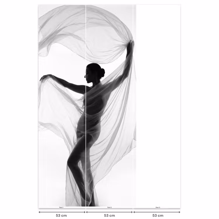 Behang - Silhouet - Sluier - Vormen - Zwart - Wit - Sensueel — 6