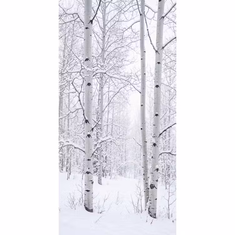 Behang - Berkenbomen - Sneeuw - Winter - Bos - Wit — 2