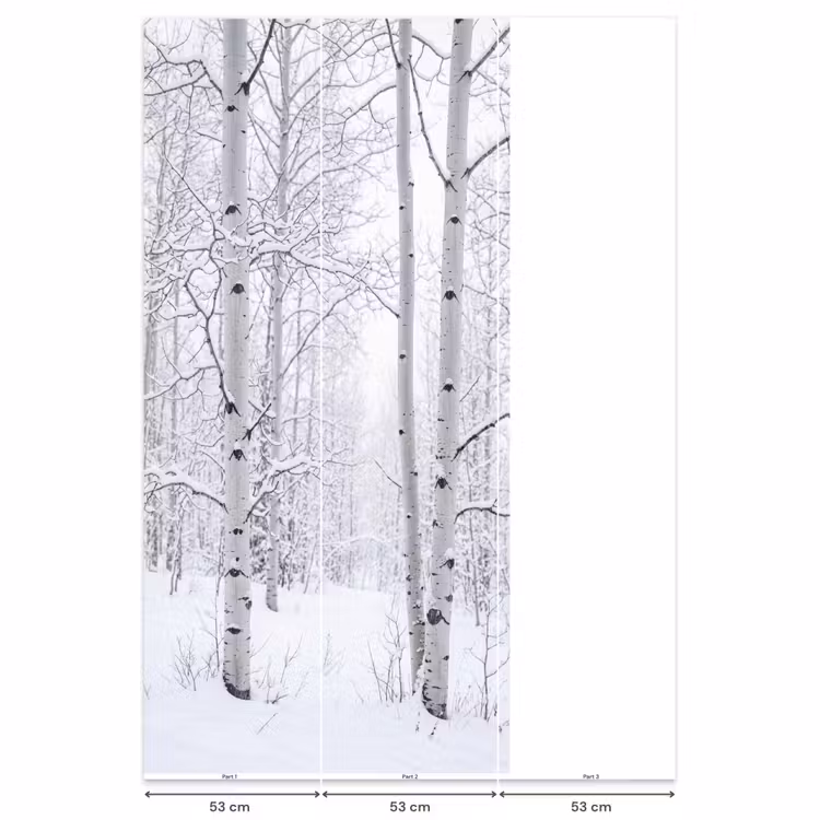 Behang - Berkenbomen - Sneeuw - Winter - Bos - Wit — 6