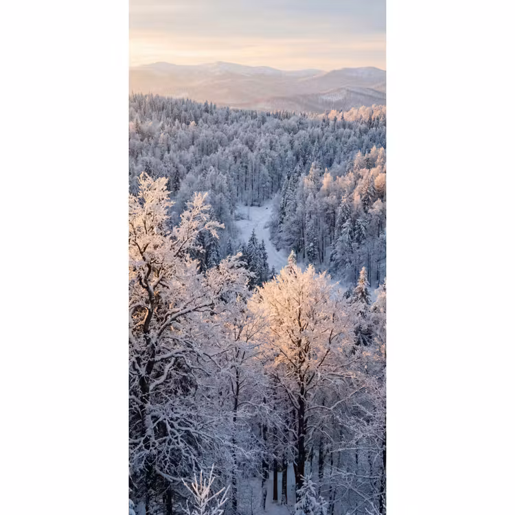 Behang - Bos - Bergen - Goud - Winter - Warm — 2
