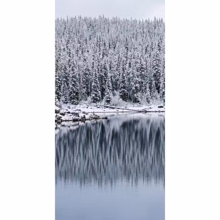Behang - Bos - Reflectie - Meer - Winter - Serene — 2