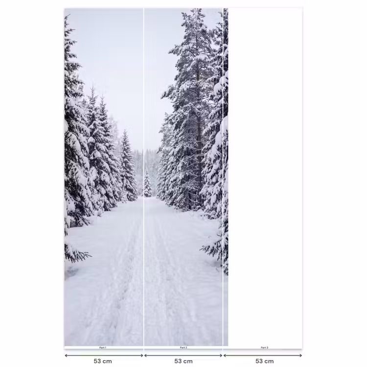 Behang - Bos - Winter - Sneeuw - Pad - Natuur — 6