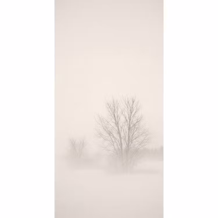 Behang - Boom - Mist - Sneeuw - Winter - Minimalistisch — 2
