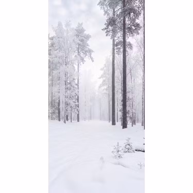 Behang - Bos - Sneeuw - Pad - Winter - Stilte — 2