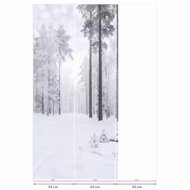 Behang - Bos - Sneeuw - Pad - Winter - Stilte — 6