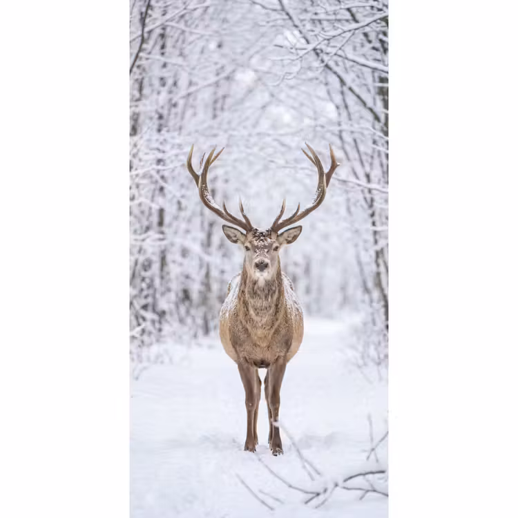 Behang - Hert - Winter - Bos - Natuur - Wit — 2