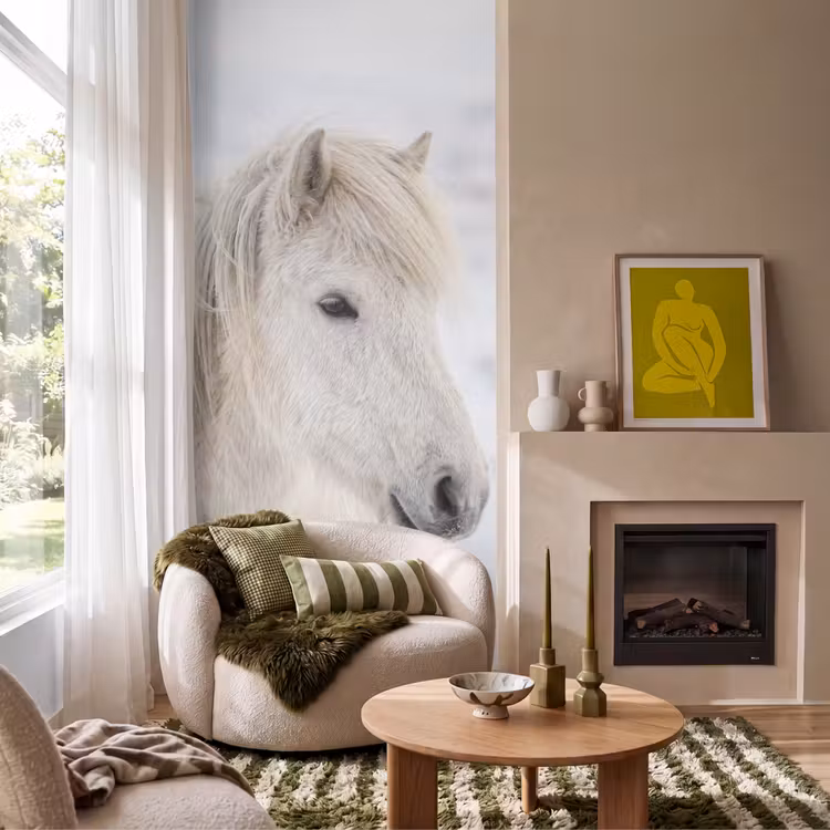 Behang - Paard - Kop - Winter - Dieren - Wit — 1