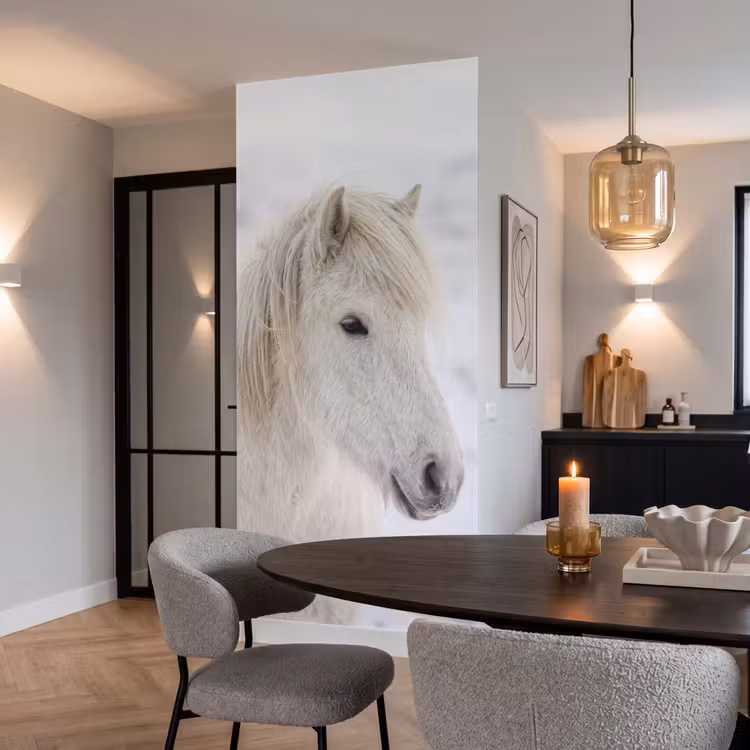 Behang - Paard - Kop - Winter - Dieren - Wit — 5