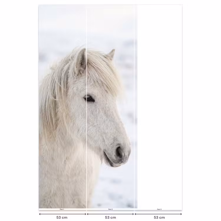 Behang - Paard - Kop - Winter - Dieren - Wit — 6