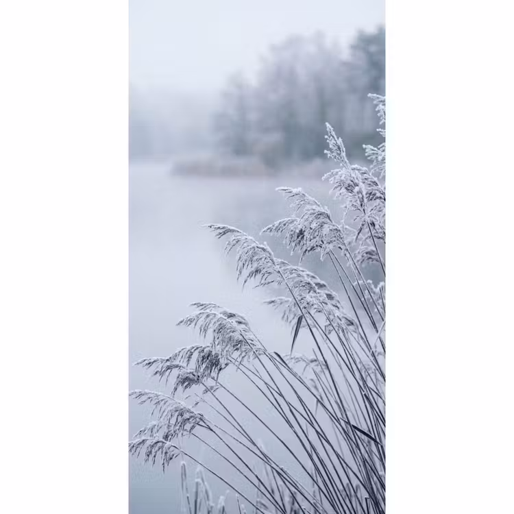 Behang - Riet - Bevroren - Winter - Natuur — 2