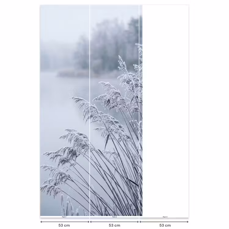 Behang - Riet - Bevroren - Winter - Natuur — 6