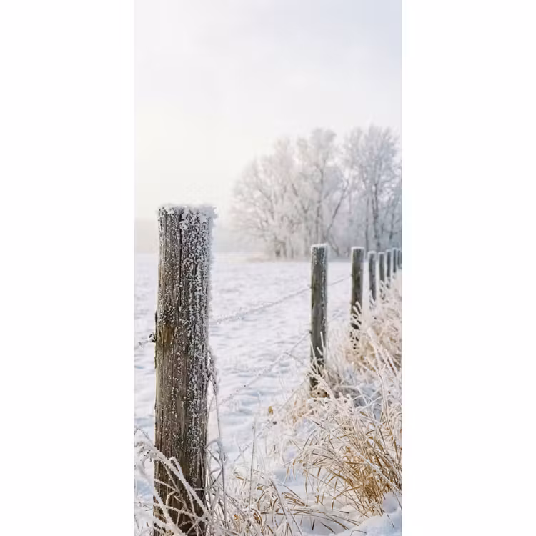 Behang - Hek - Sneeuw - Mist - Platteland - Nostalgisch — 2