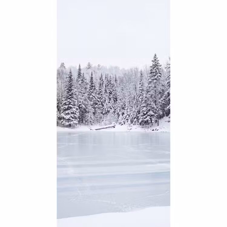 Behang - Meer - Dennen - IJs - Winter - Rustgevend — 2