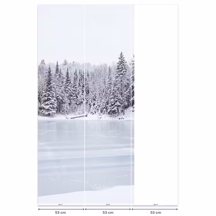 Behang - Meer - Dennen - IJs - Winter - Rustgevend — 6