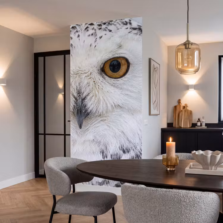 Behang - Sneeuwuil - Oog - Wildlife - Wit — 5