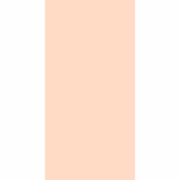 Behang - Pale - Peach - Nude — 2