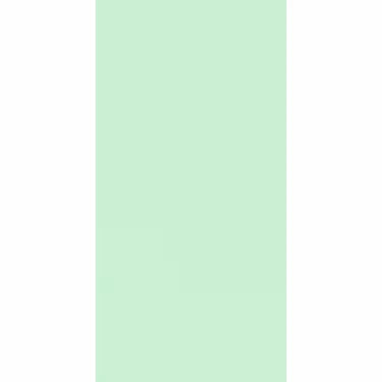 Behang - Pale - Mint - Groen — 2