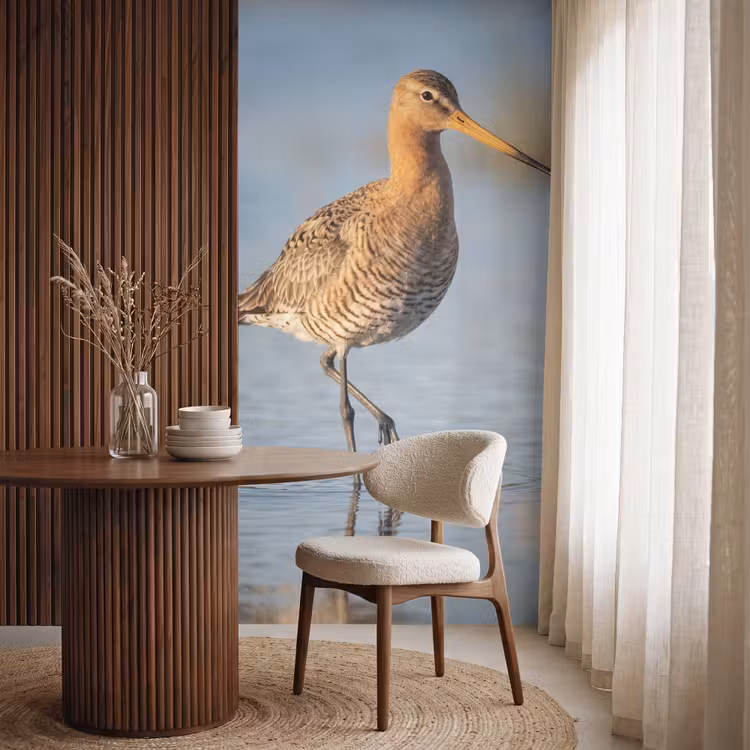 Behang - Vogel - Steltloper - Water - Natuur — 4
