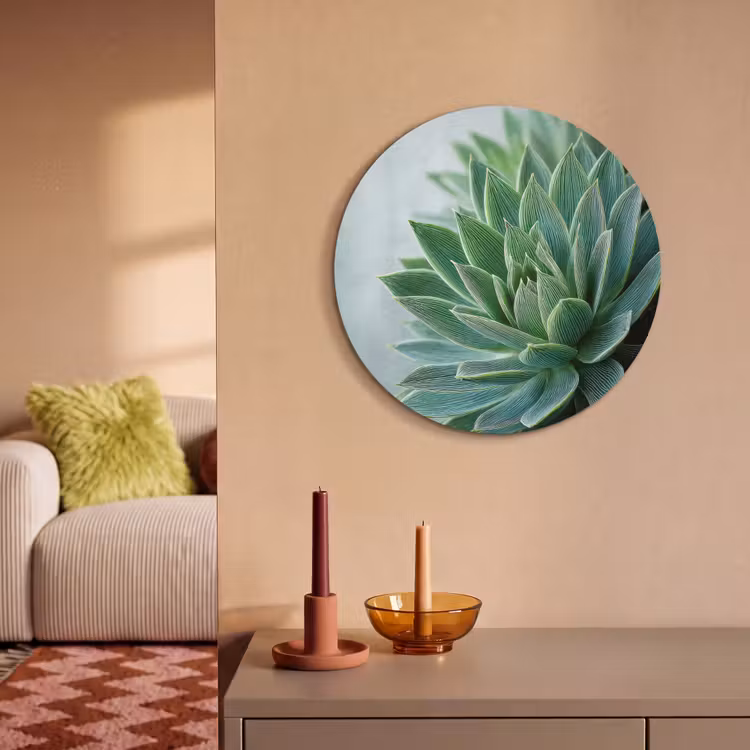 Akoestisch schilderij rond - Vetplant - Bladeren - Groen - Wazig — 2