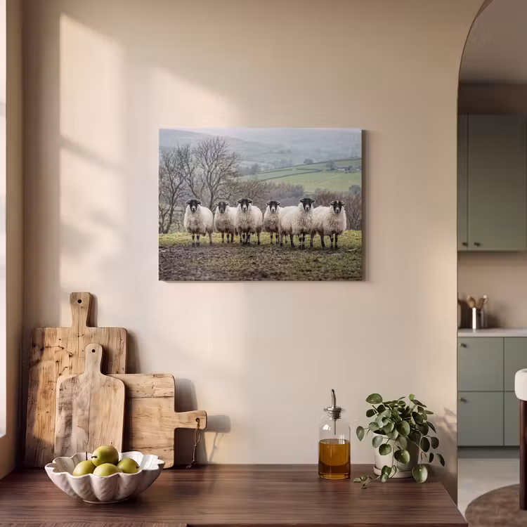 Akoestisch schilderij - Schapen - Rij - Weide - Dieren - Platteland — 4
