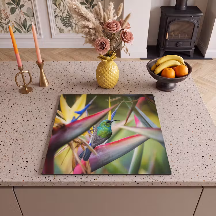 Inductie beschermer - Kleurrijke vogel tussen allemaal kleurrijke platen — 1