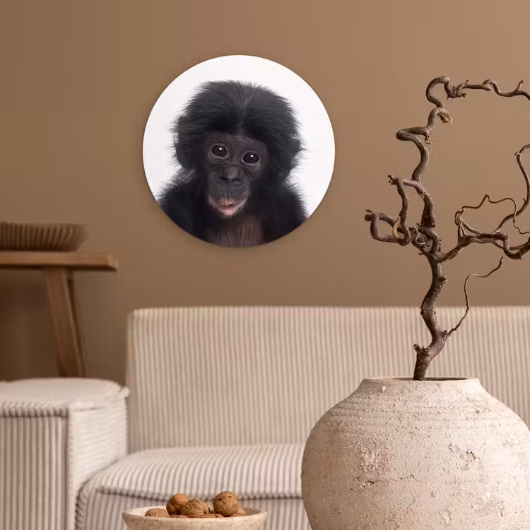 Muurcirkel - Aap - Chimpansee - Portret - Kinderen - Jongens - Meisjes — 2