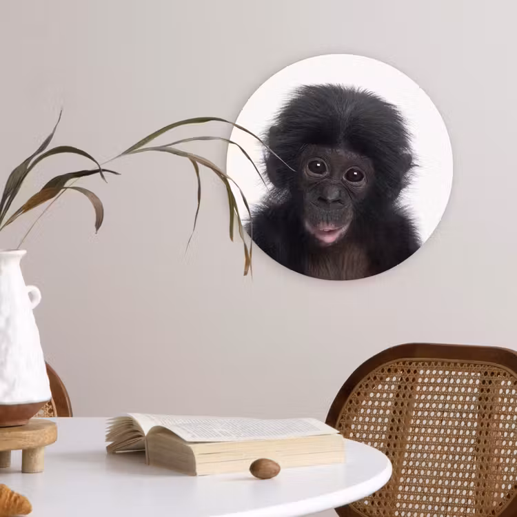 Muurcirkel - Aap - Chimpansee - Portret - Kinderen - Jongens - Meisjes — 4