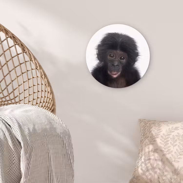Muurcirkel - Aap - Chimpansee - Portret - Kinderen - Jongens - Meisjes — 5
