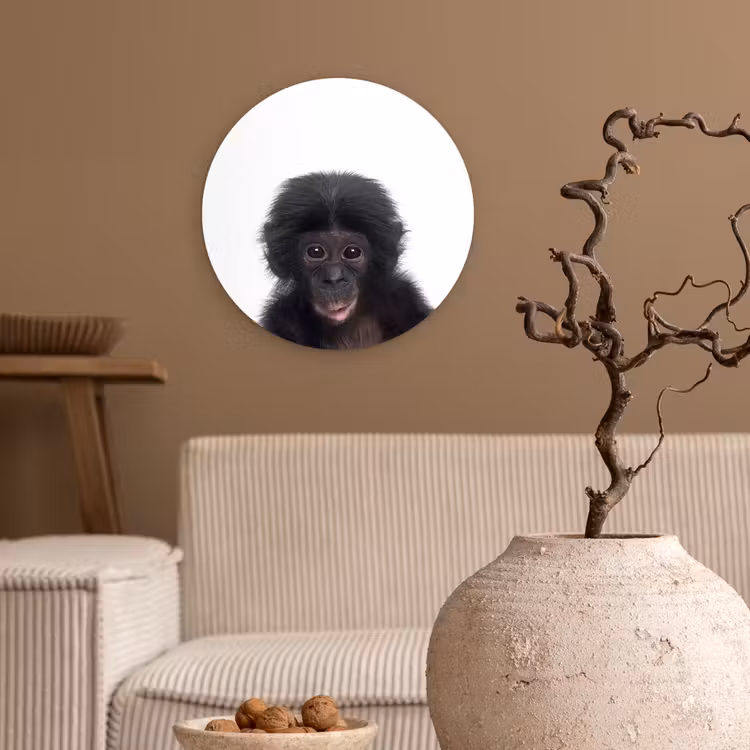 Muurcirkel - Aap - Dieren - Chimpansee - Kind - Jongen — 2