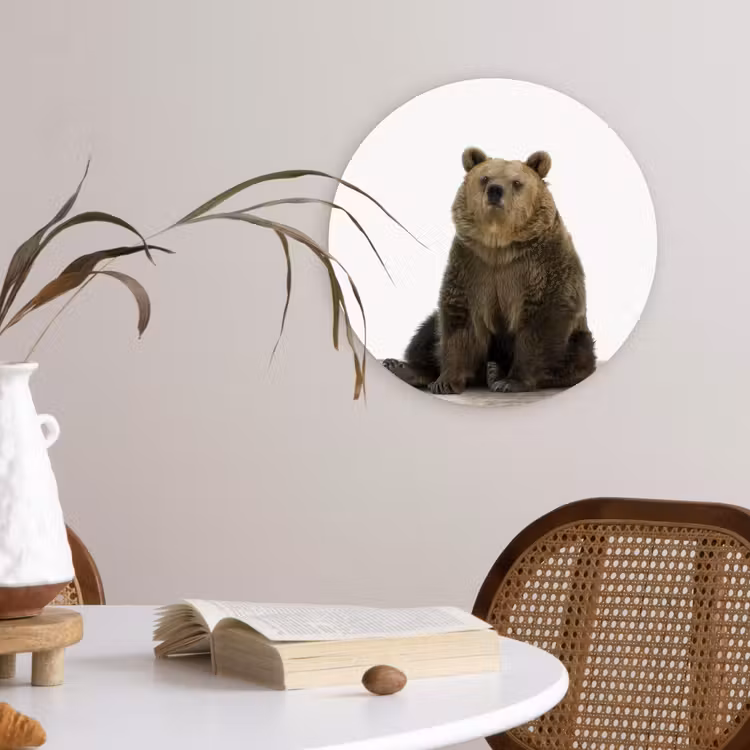 Muurcirkel - Bruine beer - Dieren - Beer - Schattig - Jongens - Meisjes — 4