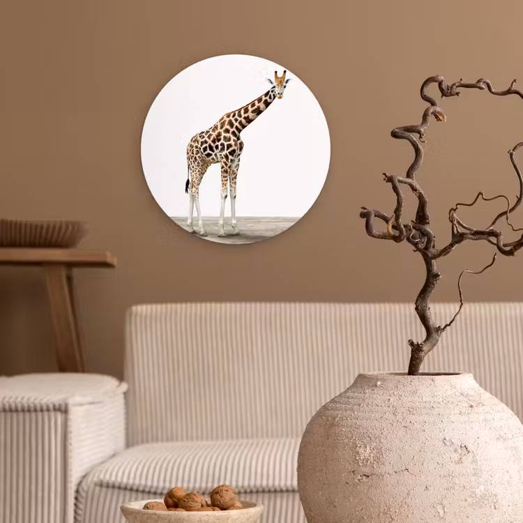 Muurcirkel - Giraffe - Dieren - Witte achtergrond - Kinderen - Jongen - Meisje — 2