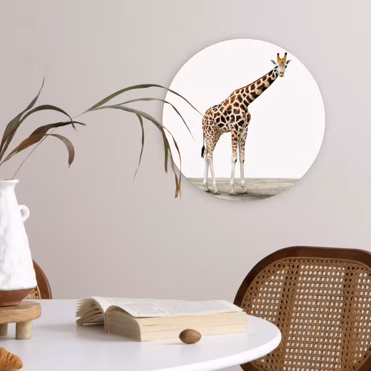 Muurcirkel - Giraffe - Dieren - Witte achtergrond - Kinderen - Jongen - Meisje — 4