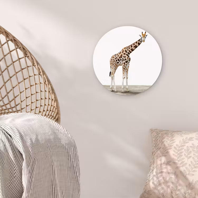 Muurcirkel - Giraffe - Dieren - Witte achtergrond - Kinderen - Jongen - Meisje — 5