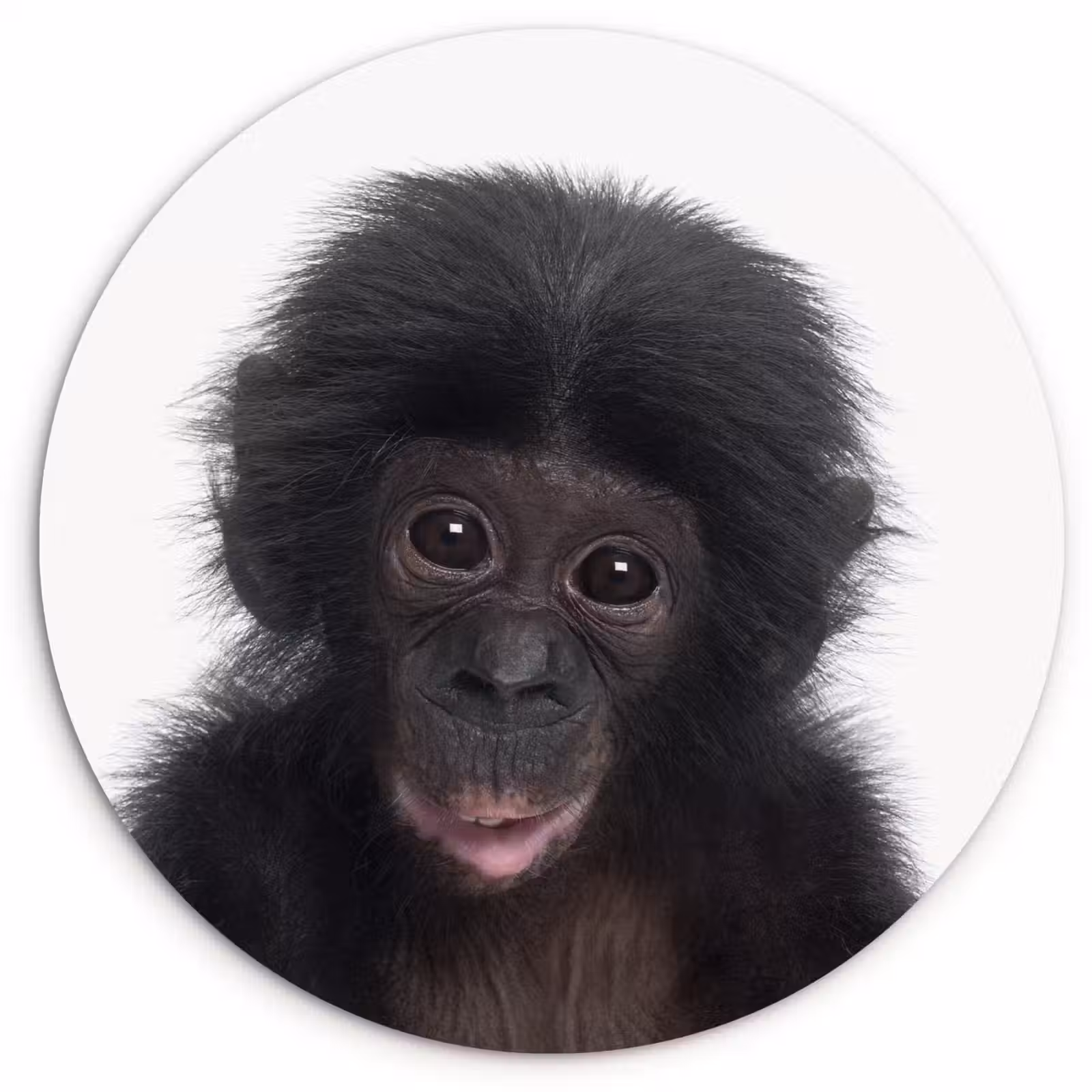 Muurcirkel - Aap - Chimpansee - Portret - Kinderen - Jongens - Meisjes — 1